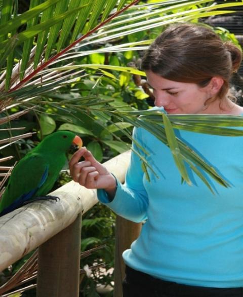 Daintree Wild Bed & Breakfast Exterior foto