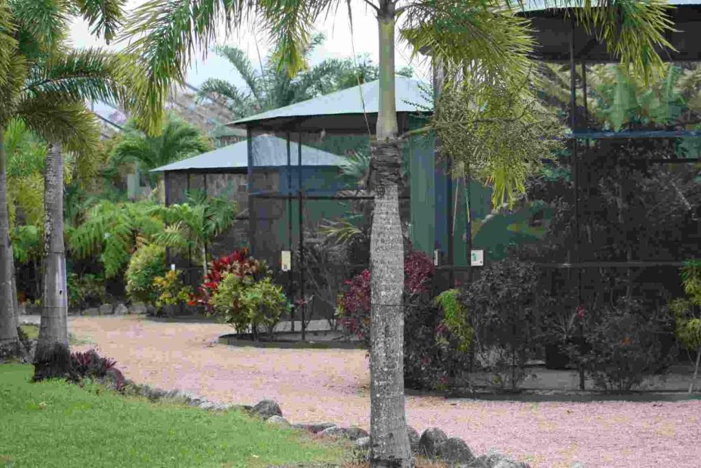 Daintree Wild Bed & Breakfast Exterior foto