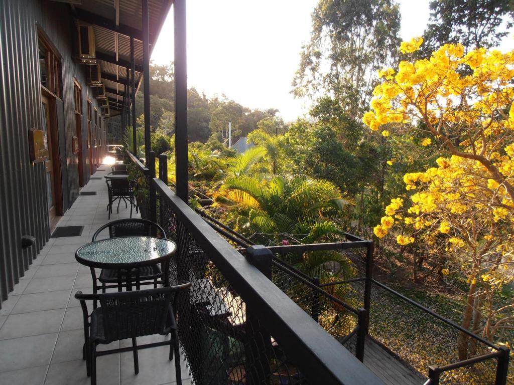 Daintree Wild Bed & Breakfast Cameră foto