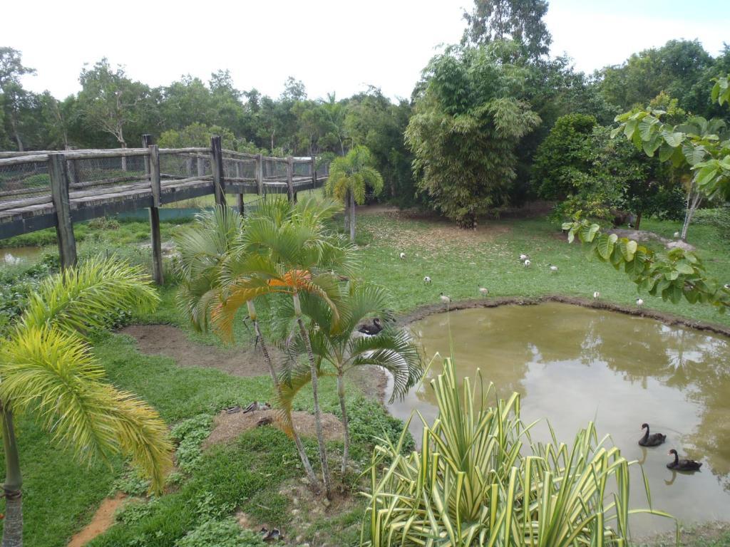 Daintree Wild Bed & Breakfast Exterior foto