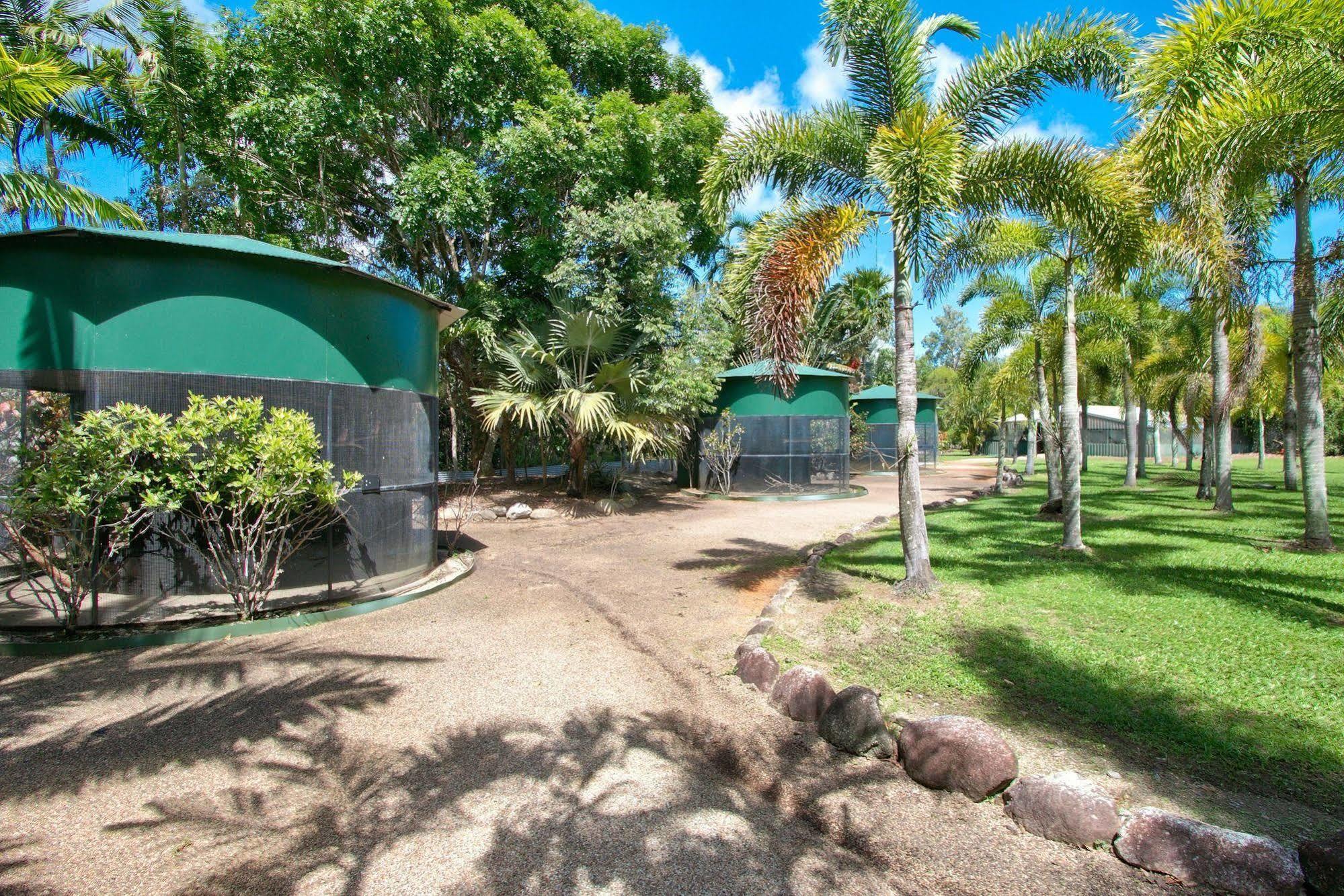Daintree Wild Bed & Breakfast Exterior foto