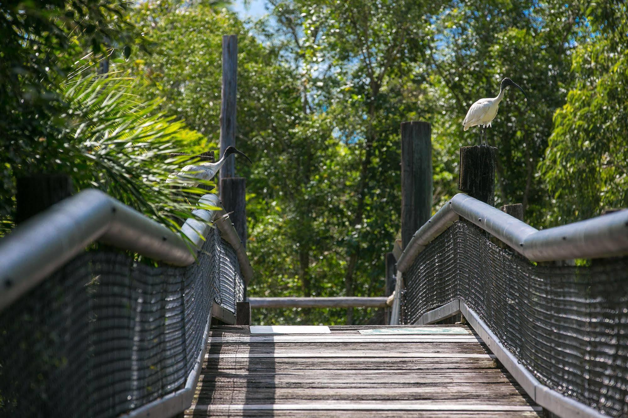 Daintree Wild Bed & Breakfast Exterior foto